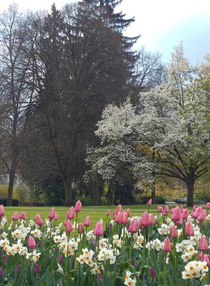 Kurpark im Frühling Bad Salzschlirf