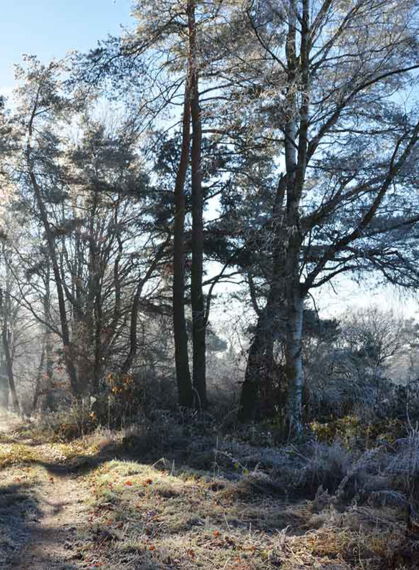 Marienwaeldchen im Frost, Reiter im Bild