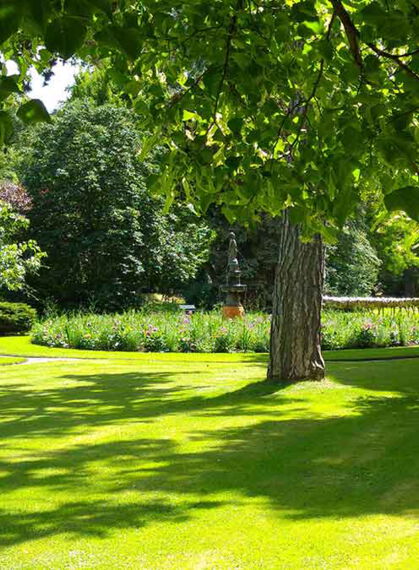 Kurpark im Sommer, Bäume und Blumen in Bad Salzschlirf