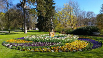 Kurpark im Frühling Bad Salzschlirf