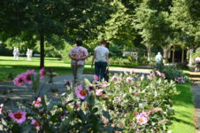 Kurpark im Sommer viele Menschen in Bad Salzschlirf