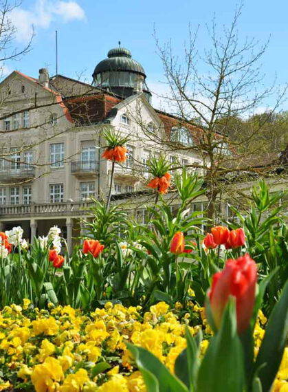 Kurpark im Frühling, ein Blumenmeer in Bad Salzschlirf