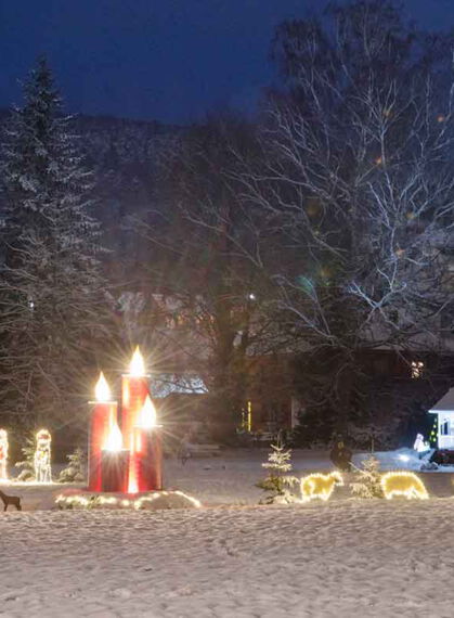 Weidenpark Krippe in Bad Salzschlirf